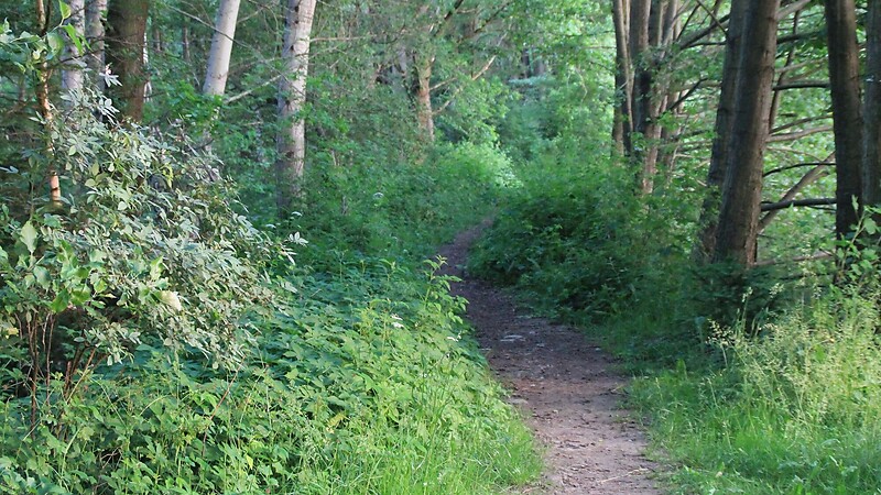 Zemljevid