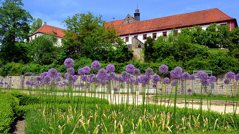 Zemljevid