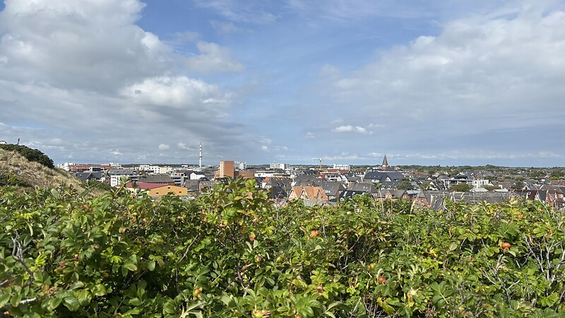 Zemljevid