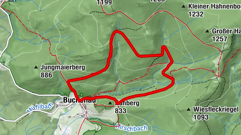 Rundweg Kreuzspinne - Großer Rundweg um Buchenau