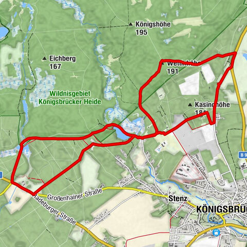 Biberpfad Königsbrücker Heide