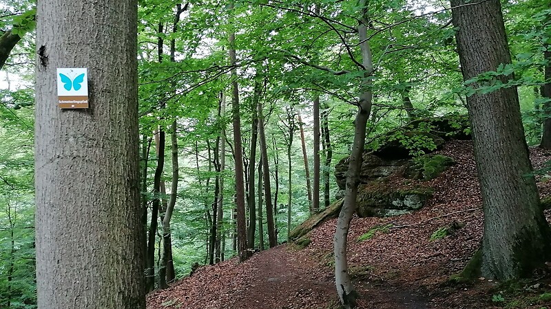Zemljevid