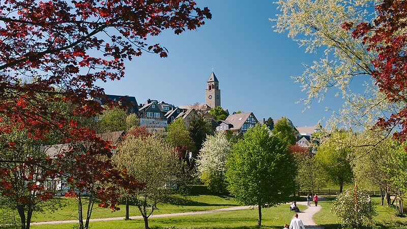 Zemljevid