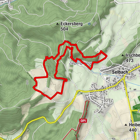 Nahequelle-Pfad in Selbach
