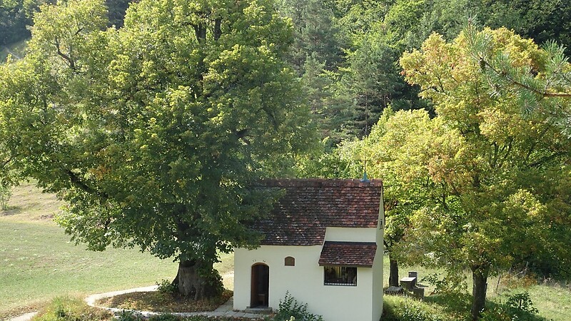 Zemljevid