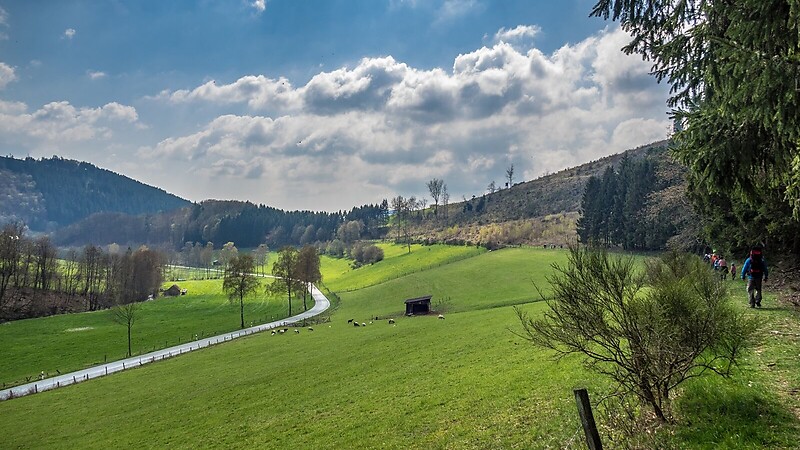 Zemljevid