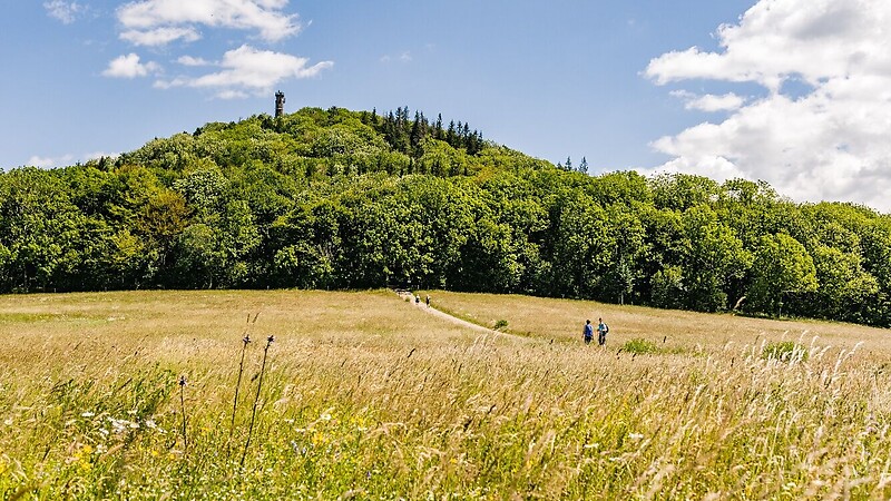 Zemljevid