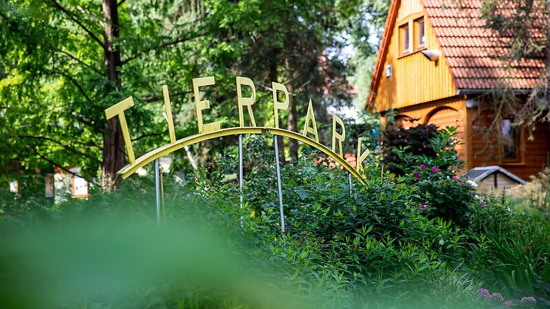 Zemljevid