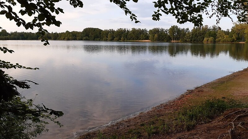 Zemljevid