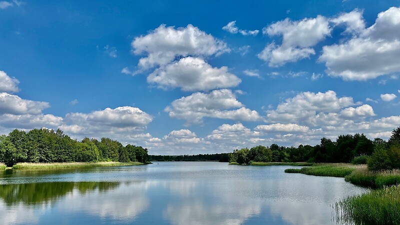 Zemljevid
