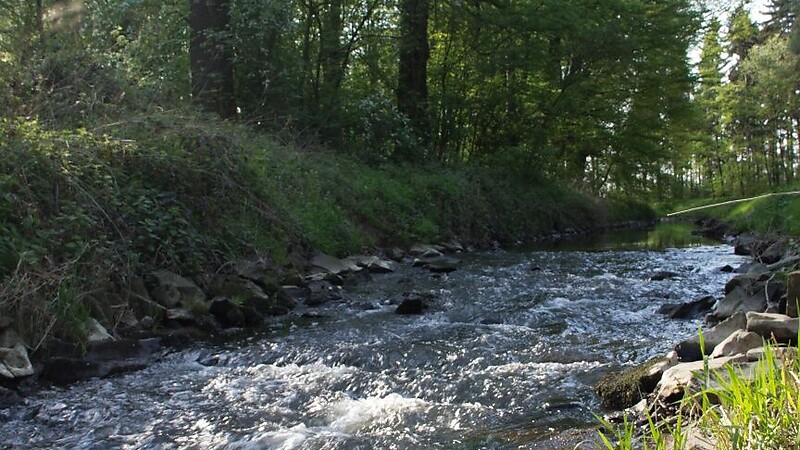 Zemljevid