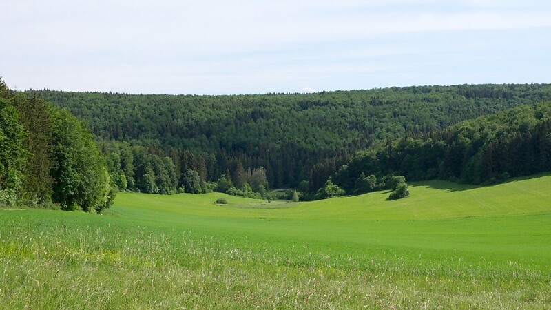 Zemljevid