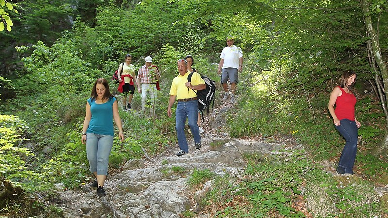 Zemljevid