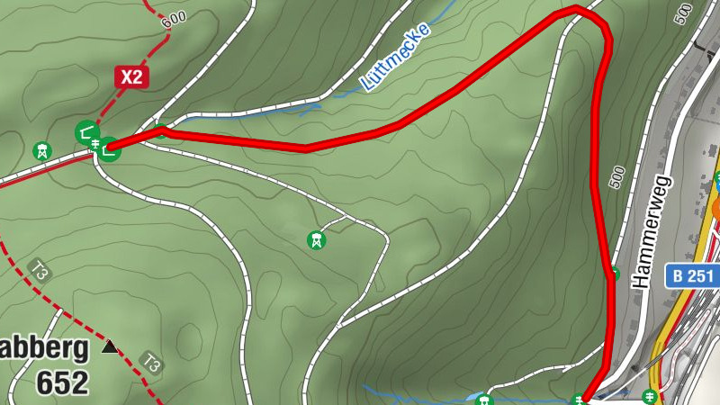 Zubringer Brilon-Wald - Ginsterkopfloipe