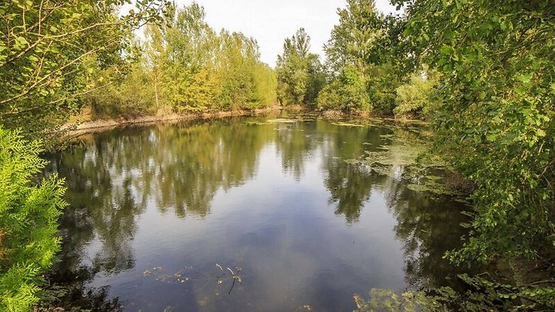 Zemljevid