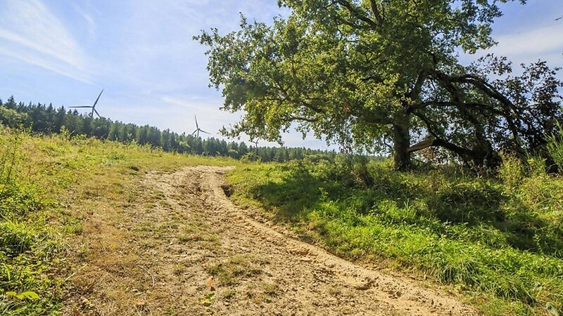 Zemljevid