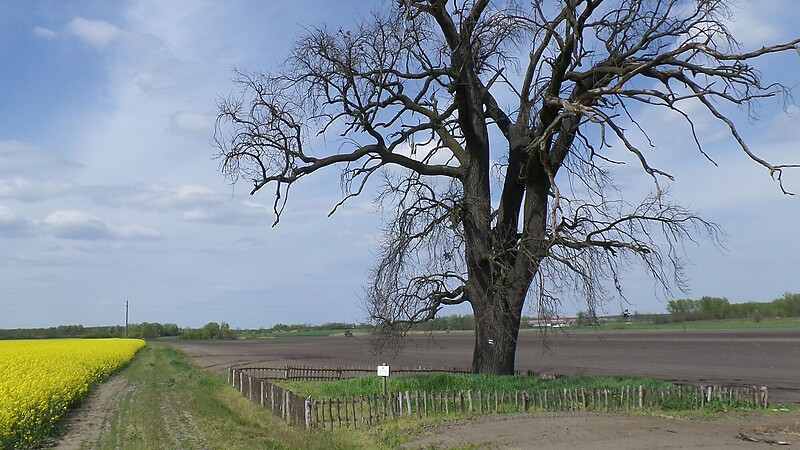 Zemljevid