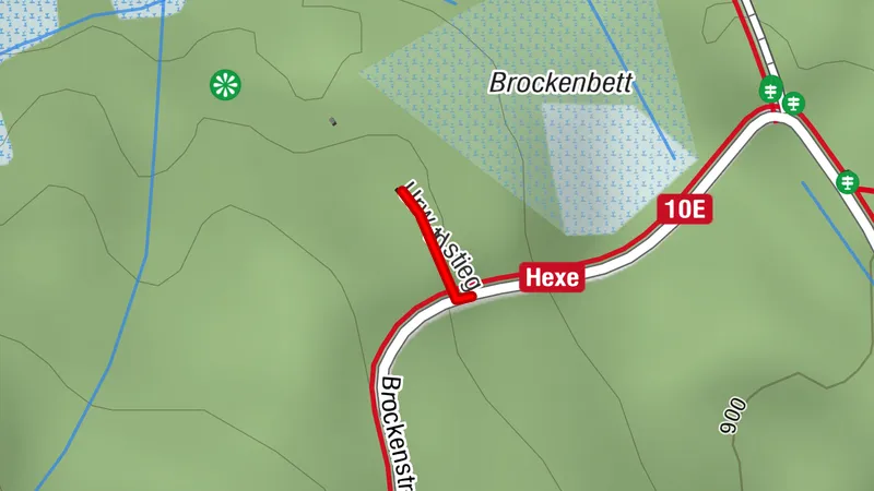 Urwaldstieg am Brocken