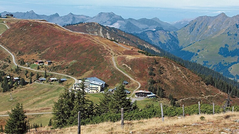 Zemljevid