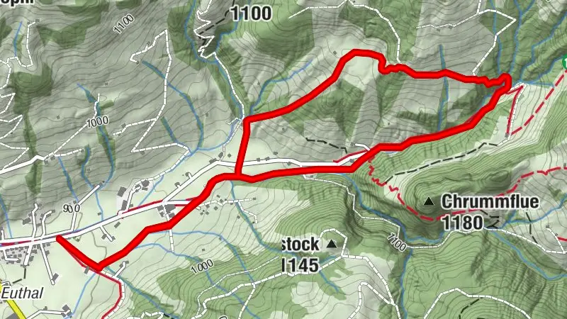 Chlosterweid-Schneeschuhtrail
