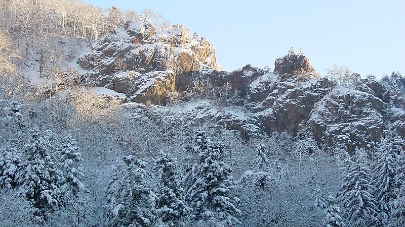 Zemljevid