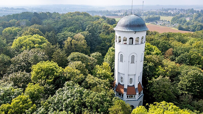 Zemljevid