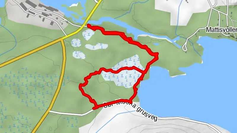 Ringsaker, Innlandet/Norge