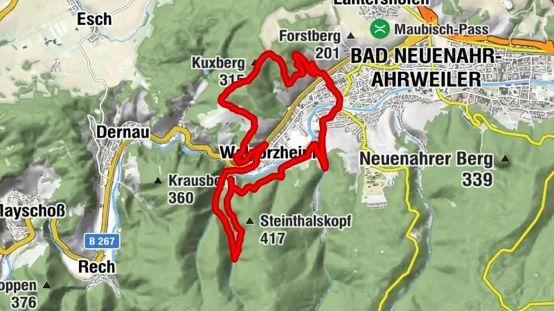 Ahrschleife Weinbergblicke