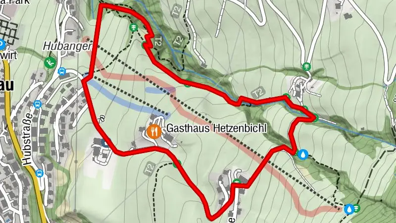 Baumparcours - tree trail