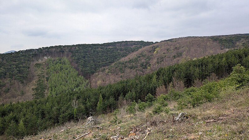 Zemljevid