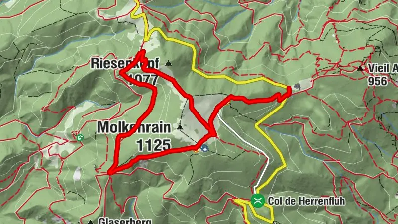 Molkenrain Trail Tour