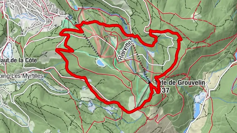 Trail #2 (green) - Grouvelin head