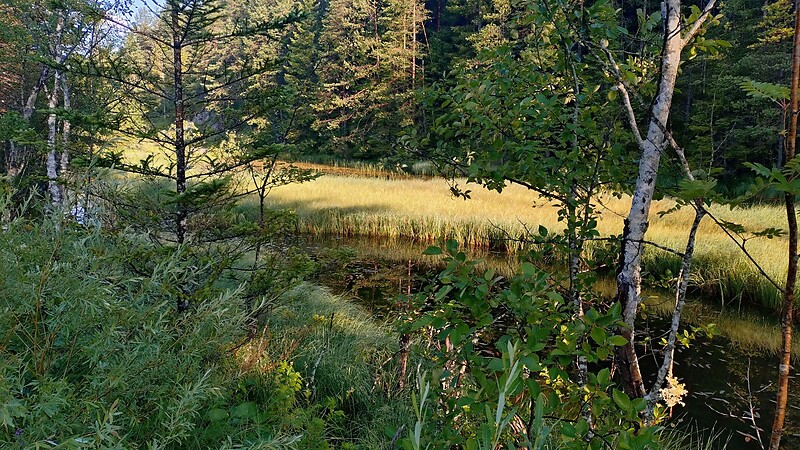 Zemljevid