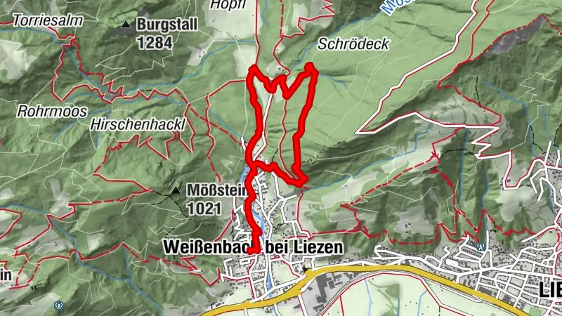 Zur kleinen Schale-Runde