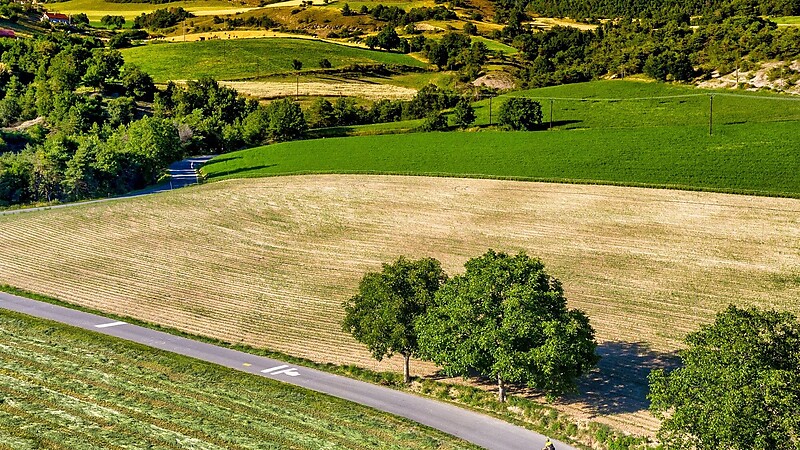 Zemljevid