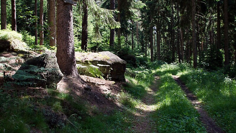 Zemljevid