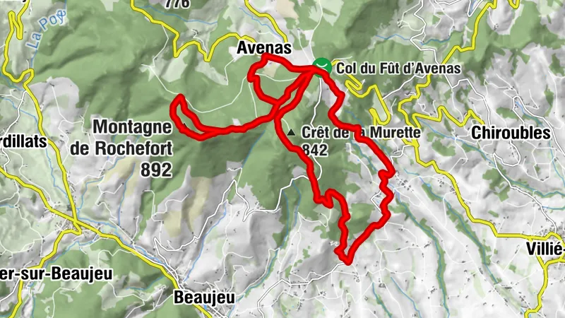 Villié-Morgon, Auvergne-Rhône-Alpes/France