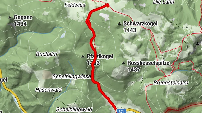 Feldwiesalm