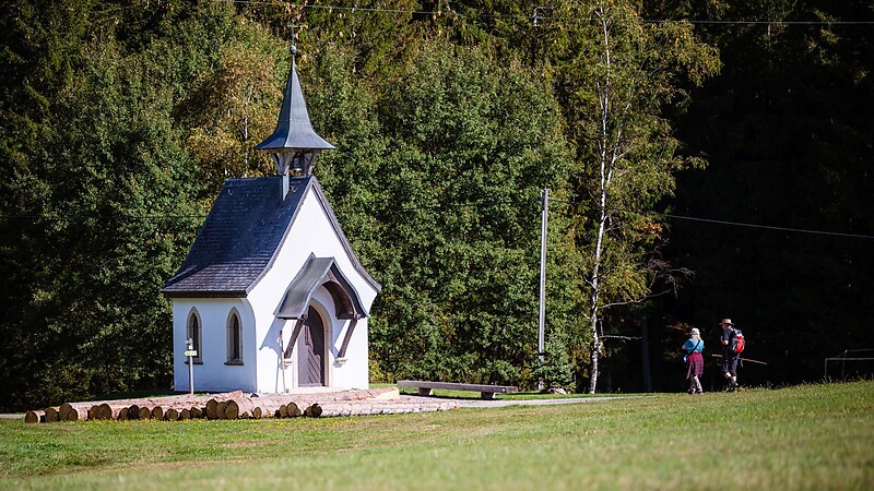 Zemljevid
