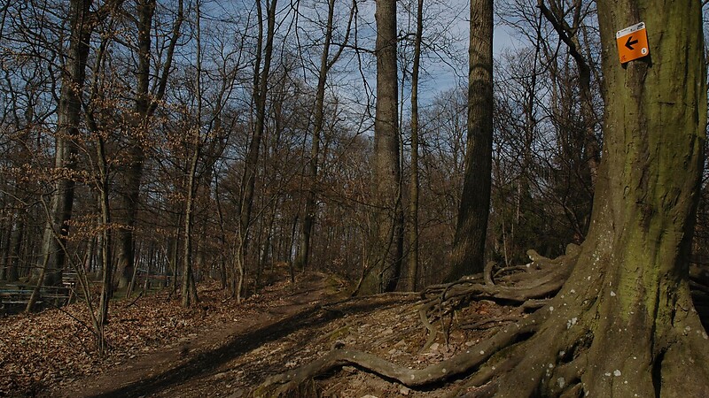 Zemljevid