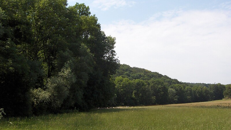 Zemljevid