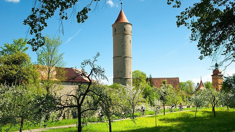 Zemljevid