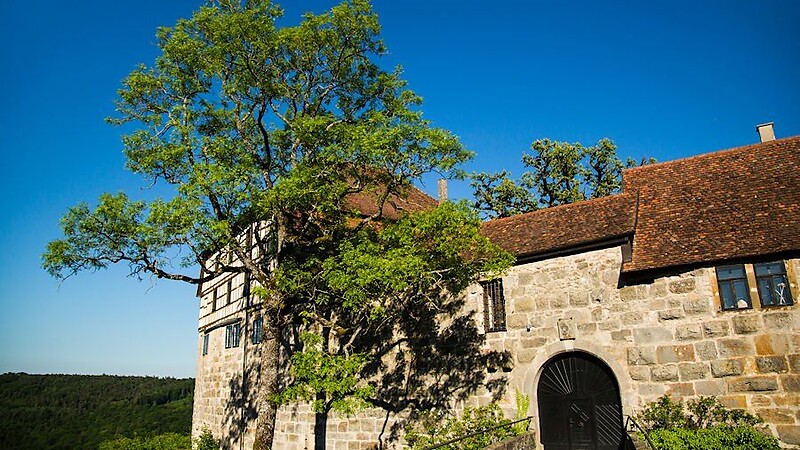 Zemljevid