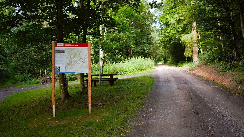 Zemljevid