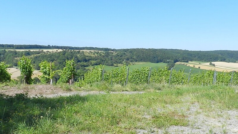 Zemljevid