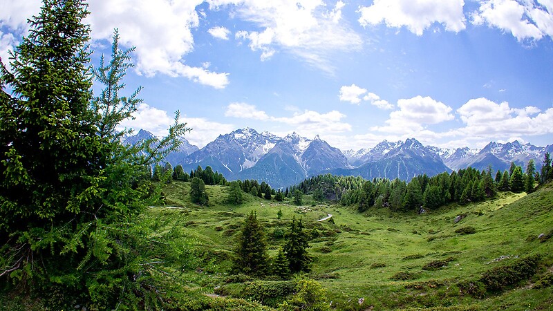 Zemljevid