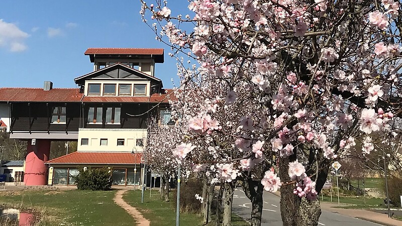 Zemljevid