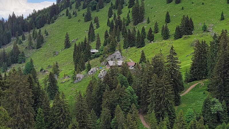 Zemljevid