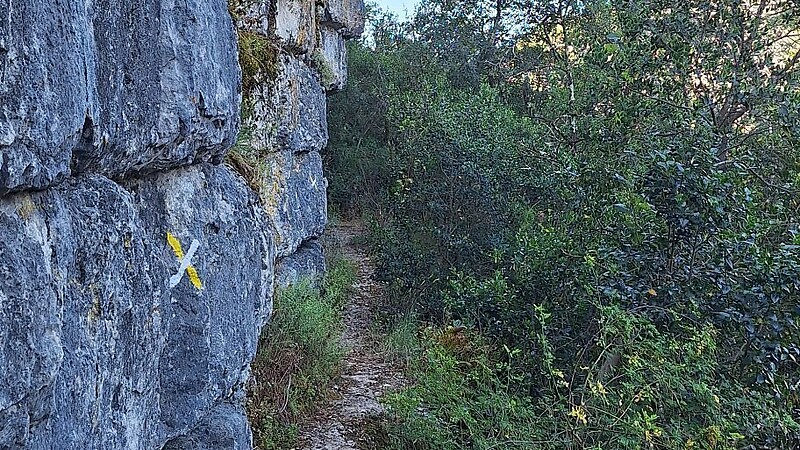 Zemljevid