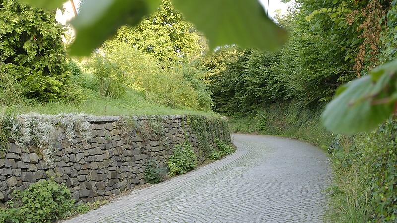 Zemljevid